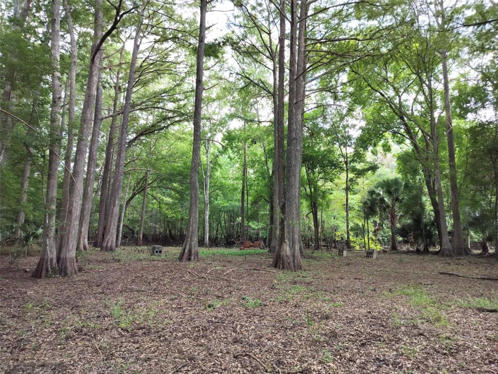 Property for sale at 523 S TUCK POINT, INVERNESS, FL, 34450