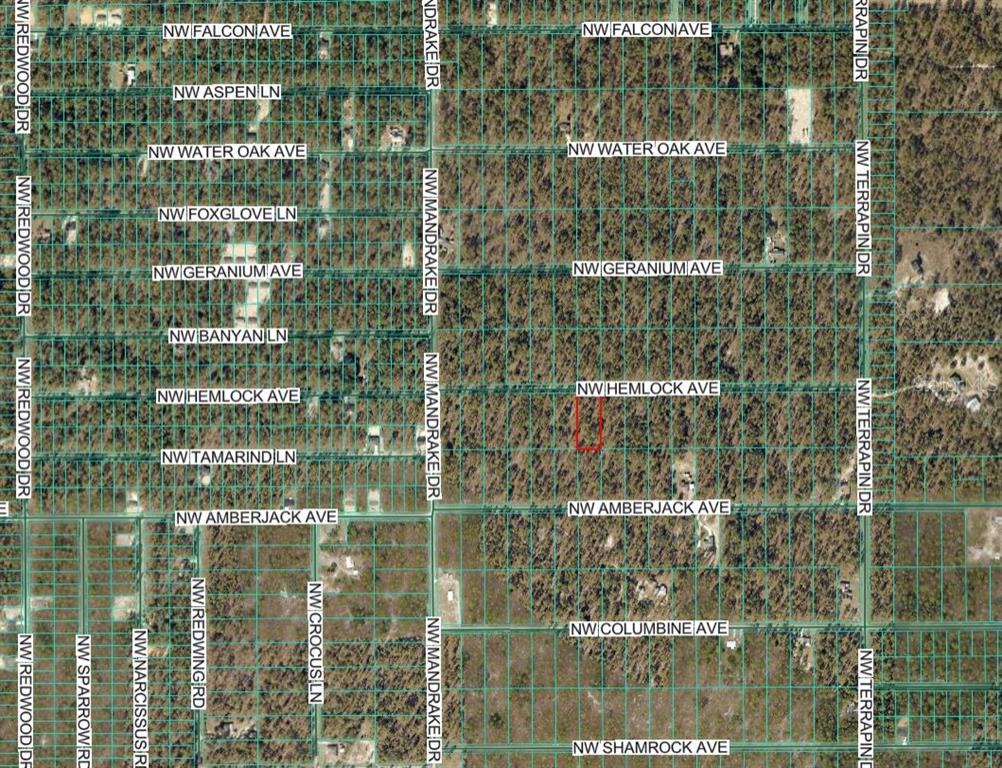 Aerial View—Zoom Out