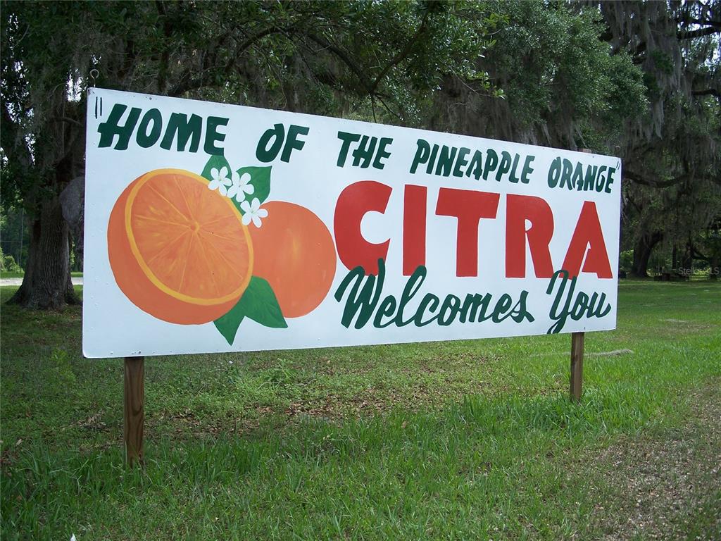 Property for sale at 0000 NE 164TH PLACE E, CITRA, FL, 32113