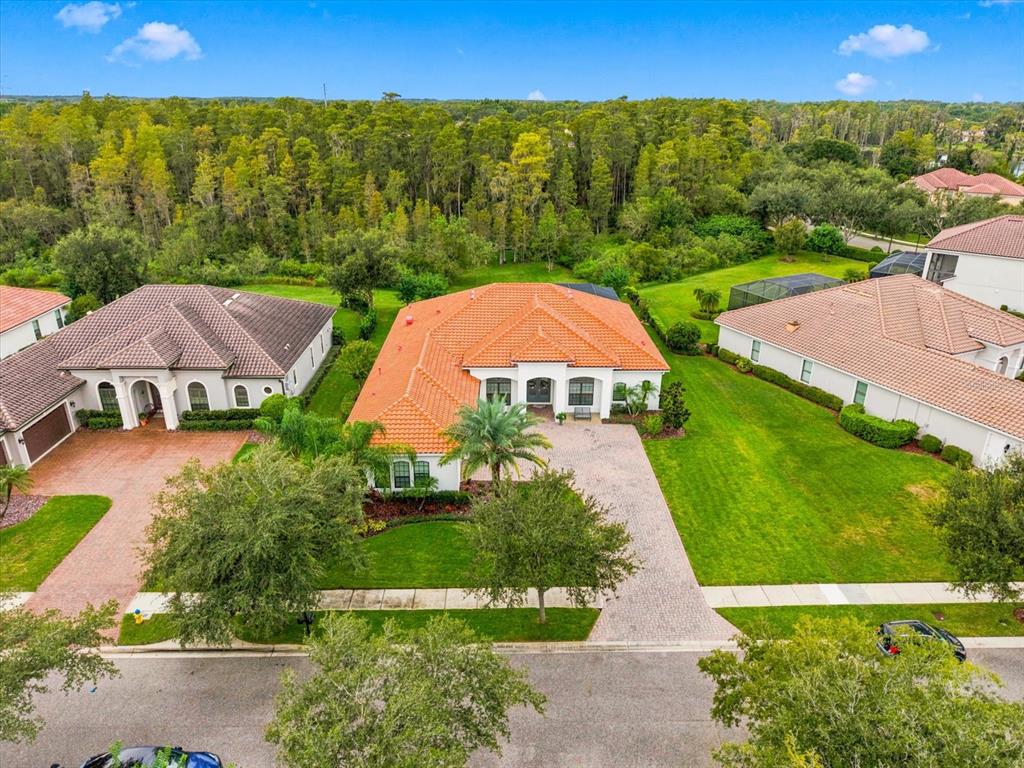 Property for sale at 17314 SAN ARINGO PLACE, LUTZ, FL, 33548