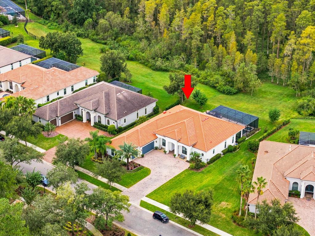 Property for sale at 17314 SAN ARINGO PLACE, LUTZ, FL, 33548