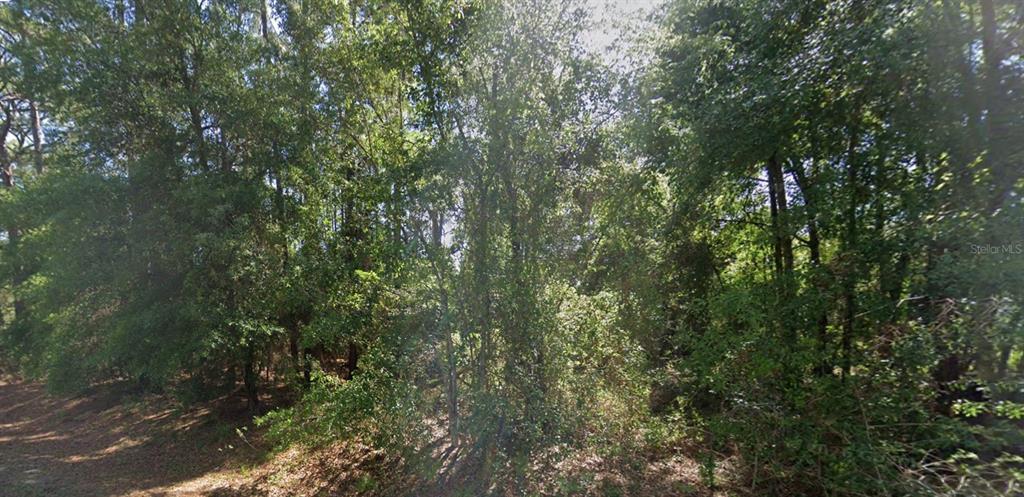 Property for sale at lot 84 SE 99TH AVENUE, BELLEVIEW, FL, 34420