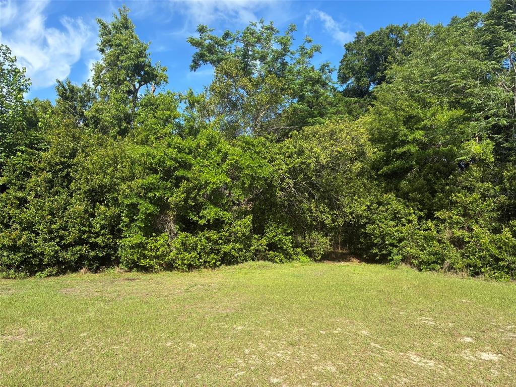 Property for sale at 3752 N ORANGE BLOSSOM TRAIL, MOUNT DORA, FL, 32757
