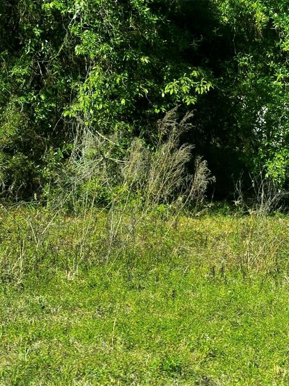 Property for sale at 2 SW 24TH PLACE, OCALA, FL, 34481