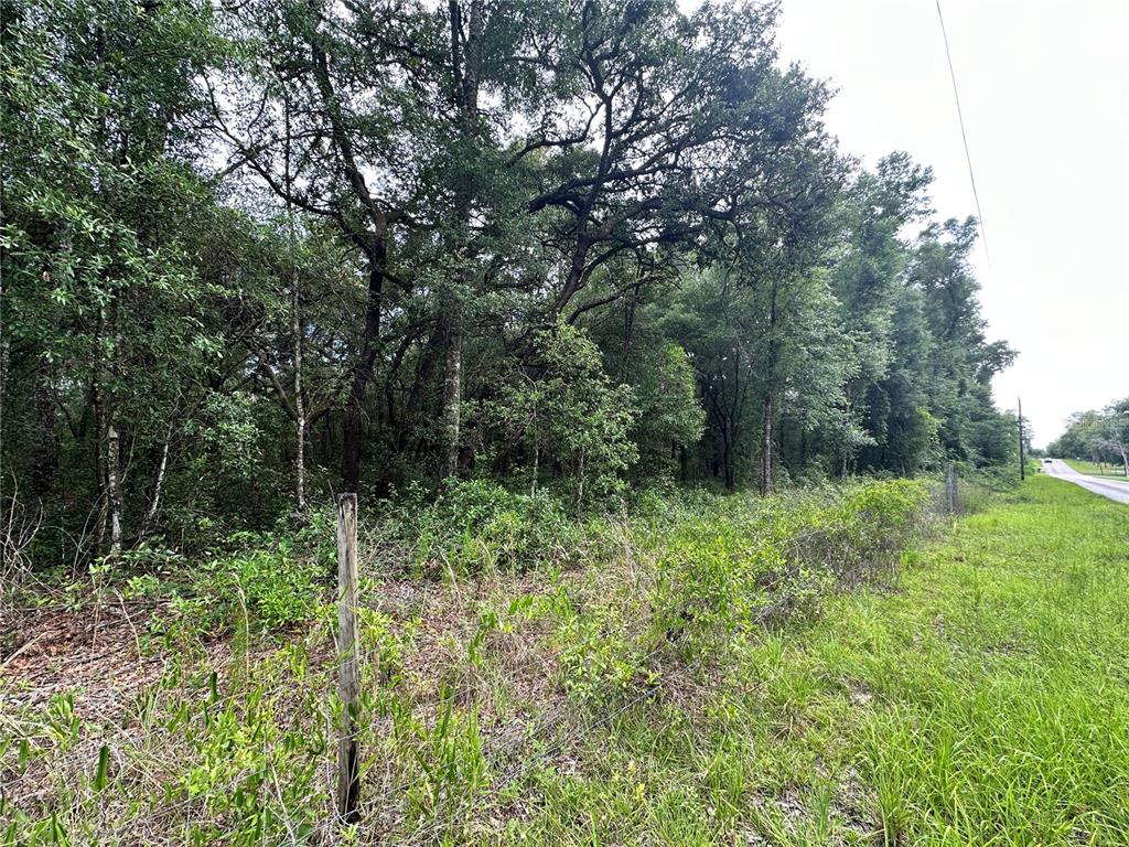 Property for sale at TBD NE 65TH LANE, BRONSON, FL, 32621