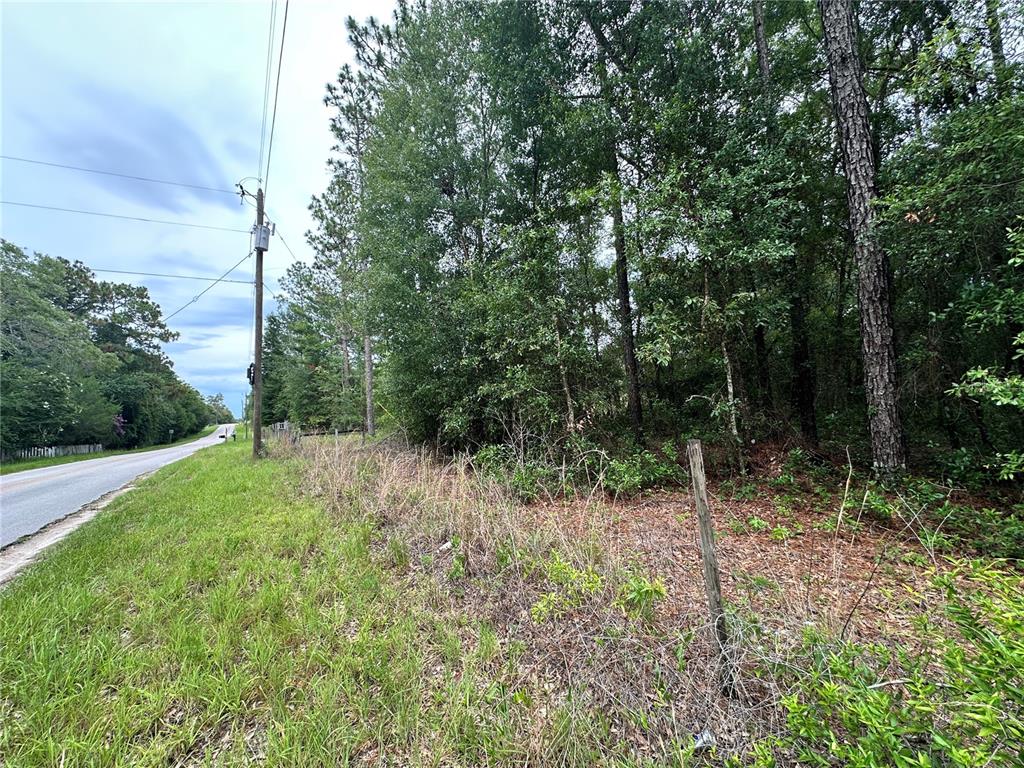Property for sale at TBD NE 65TH LANE, BRONSON, FL, 32621