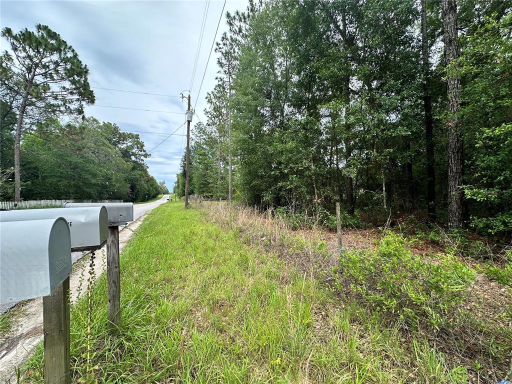 Property for sale at TBD NE 65TH LANE, BRONSON, FL, 32621