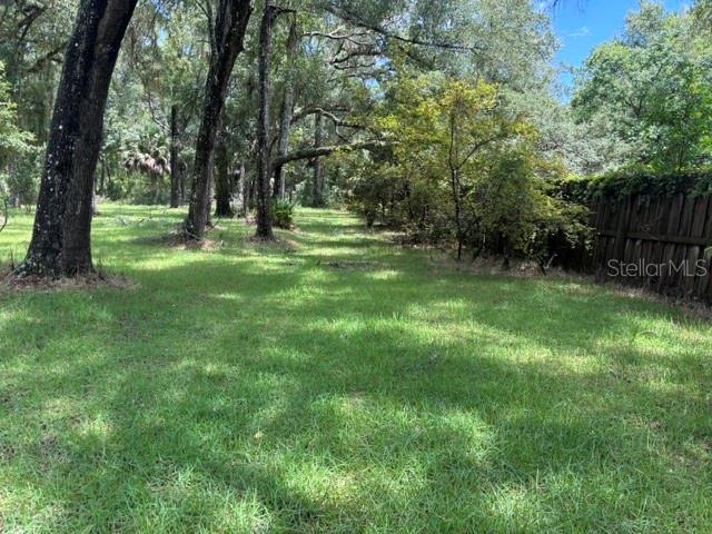 beautiful established green grass, privacy fence