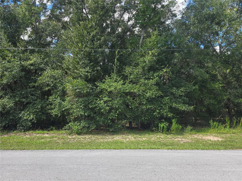 Property for sale at 366 S SAVARY AVENUE, INVERNESS, FL, 34453
