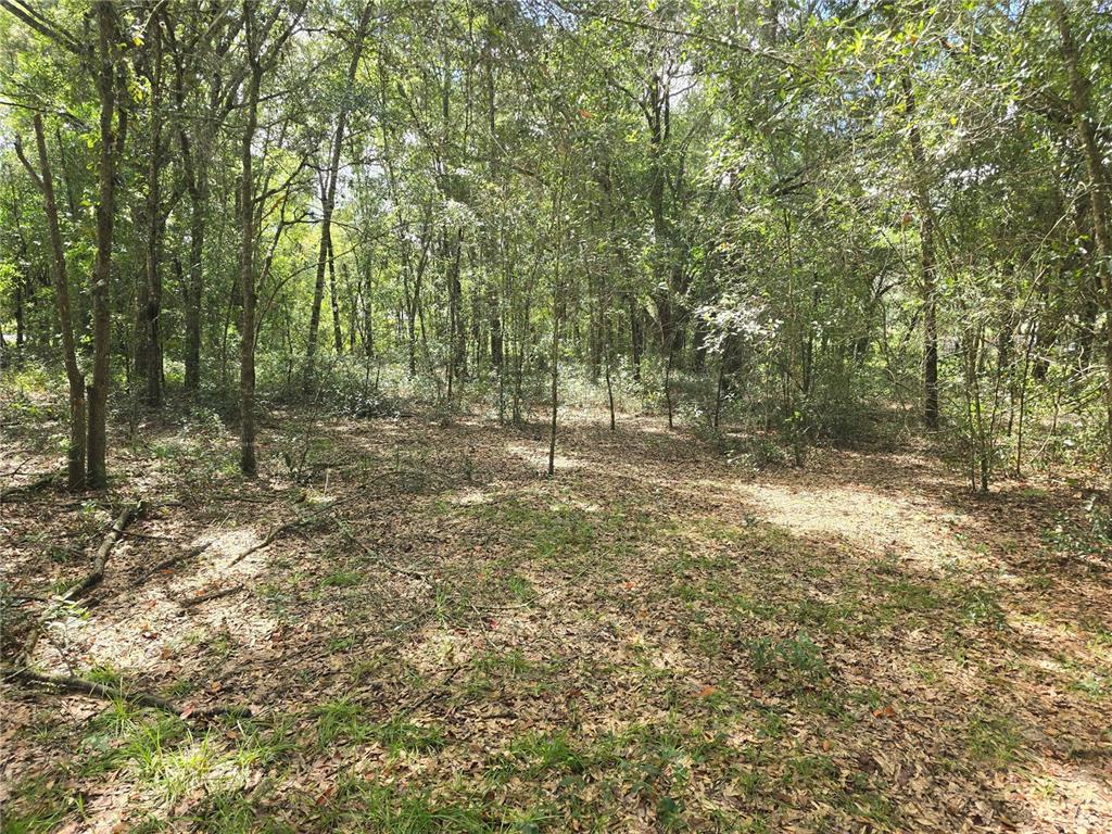Property for sale at 366 S SAVARY AVENUE, INVERNESS, FL, 34453
