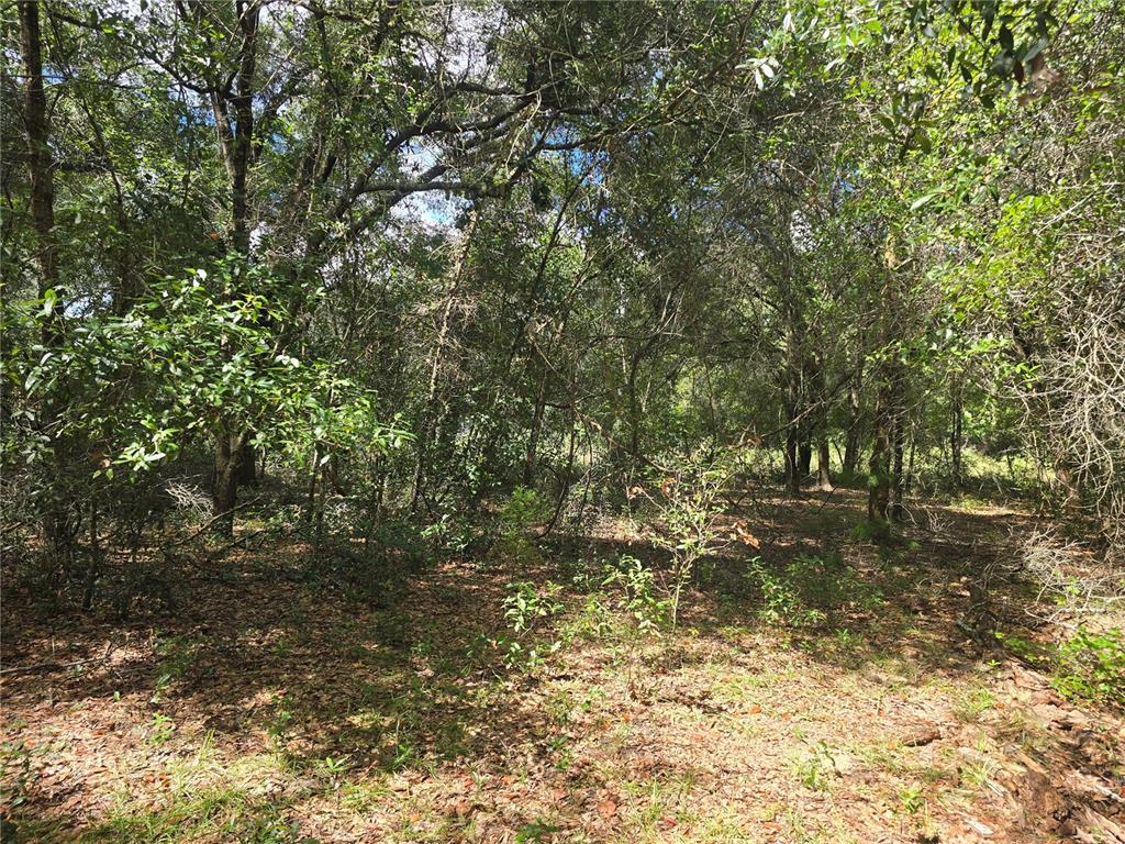Property for sale at 366 S SAVARY AVENUE, INVERNESS, FL, 34453
