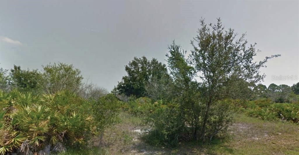 Property for sale at 113 EDENWALD AVENUE NW, LAKE PLACID, FL, 33852