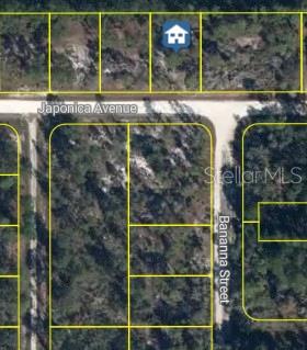 Property for sale at 3021 JAPONICA AVENUE, LAKE PLACID, FL, 33852