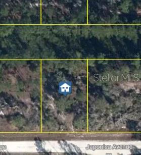Property for sale at 3021 JAPONICA AVENUE, LAKE PLACID, FL, 33852