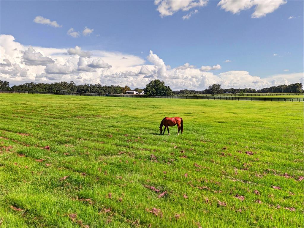 Property for sale at 15939 NW 162ND TERRACE, WILLISTON, FL, 32696