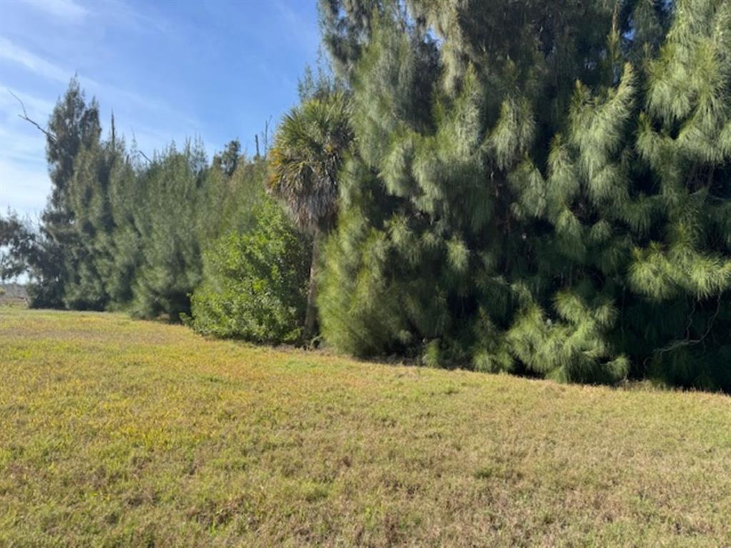 Property for sale at 75 GREEN DOLPHIN DRIVE N, PLACIDA, FL, 33946