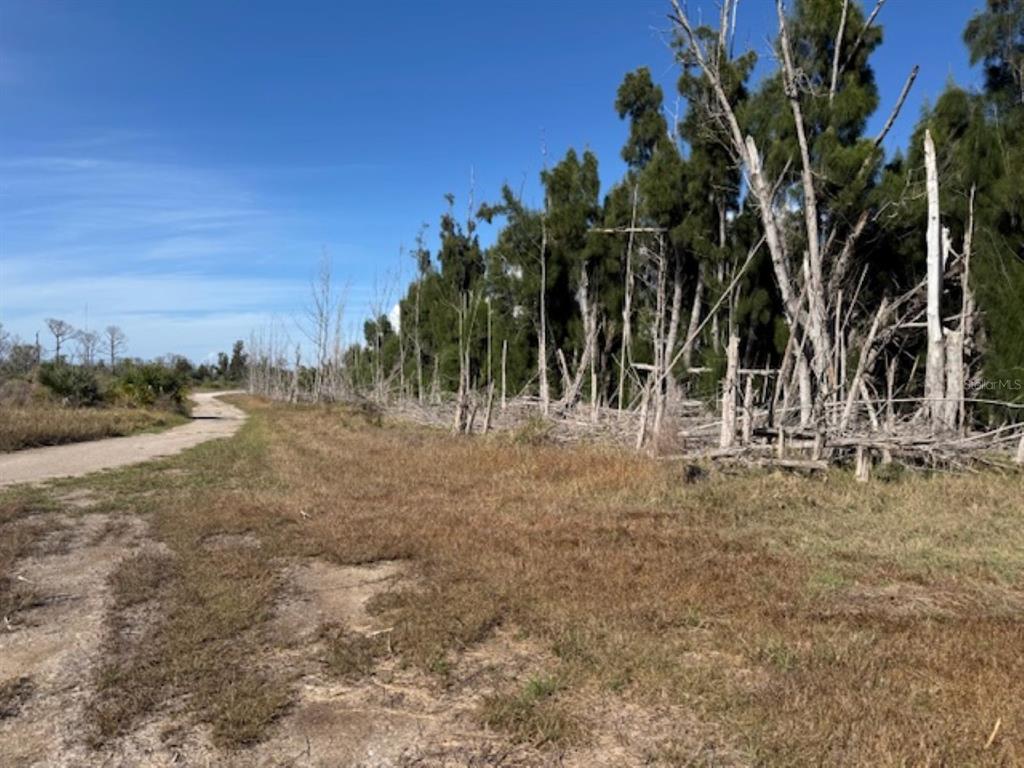 Property for sale at 75 GREEN DOLPHIN DRIVE N, PLACIDA, FL, 33946