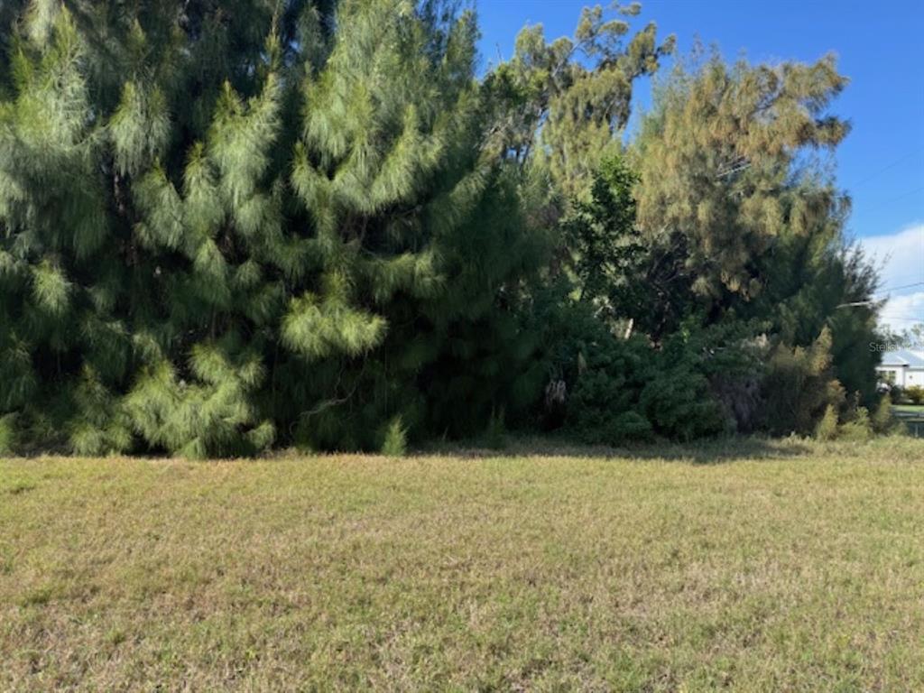 Property for sale at 75 GREEN DOLPHIN DRIVE N, PLACIDA, FL, 33946
