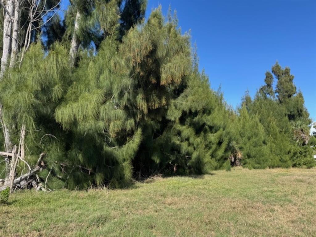 Property for sale at 75 GREEN DOLPHIN DRIVE N, PLACIDA, FL, 33946