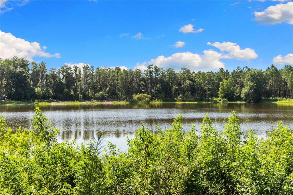 Property for sale at 18150 BURRELL ROAD, ODESSA, FL, 33556