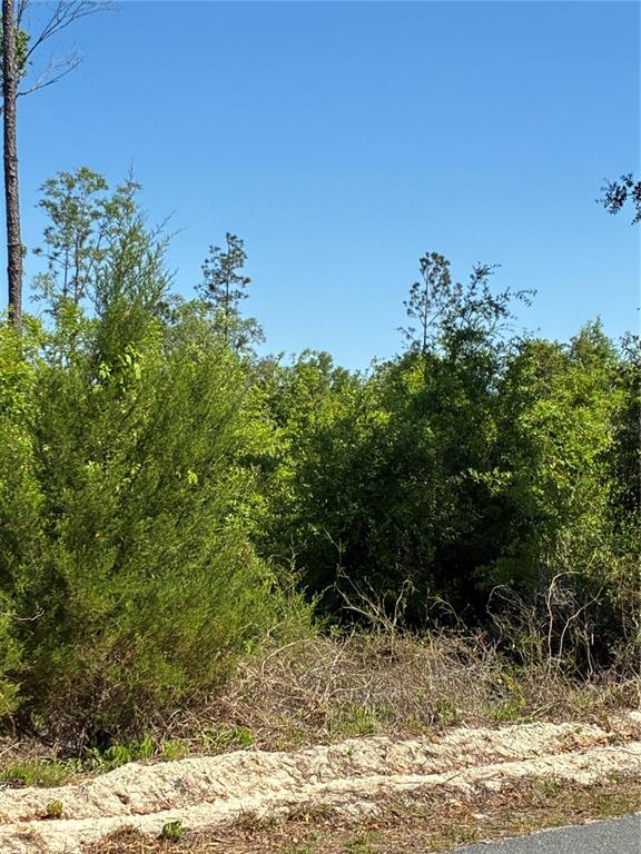 Property for sale at 298TH STREET, NEWBERRY, FL, 32669