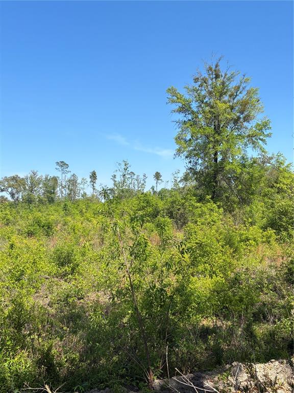 Property for sale at 298TH STREET, NEWBERRY, FL, 32669