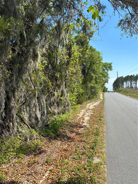 Property for sale at 298TH STREET, NEWBERRY, FL, 32669