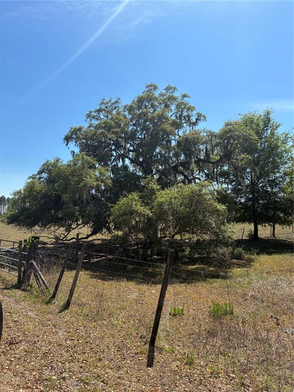 Property for sale at 298TH STREET, NEWBERRY, FL, 32669