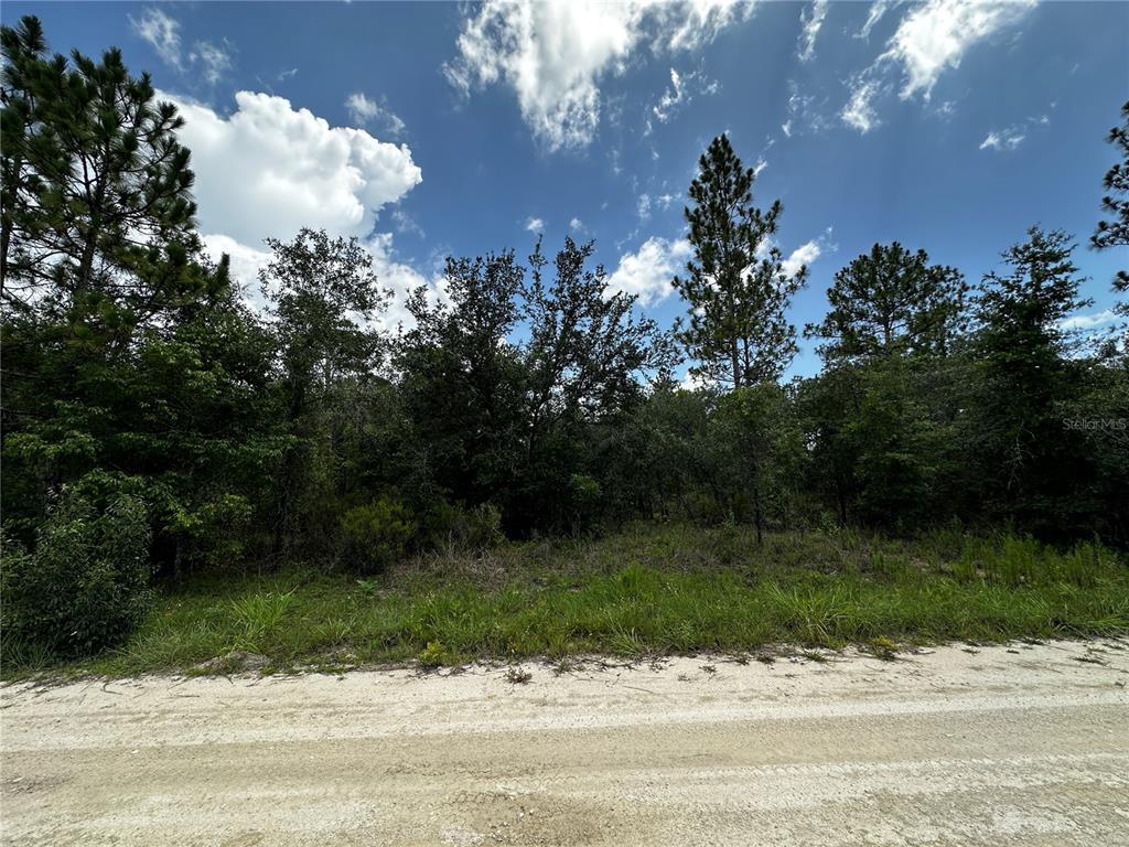 Property for sale at 12930 NE 15TH STREET, WILLISTON, FL, 32696