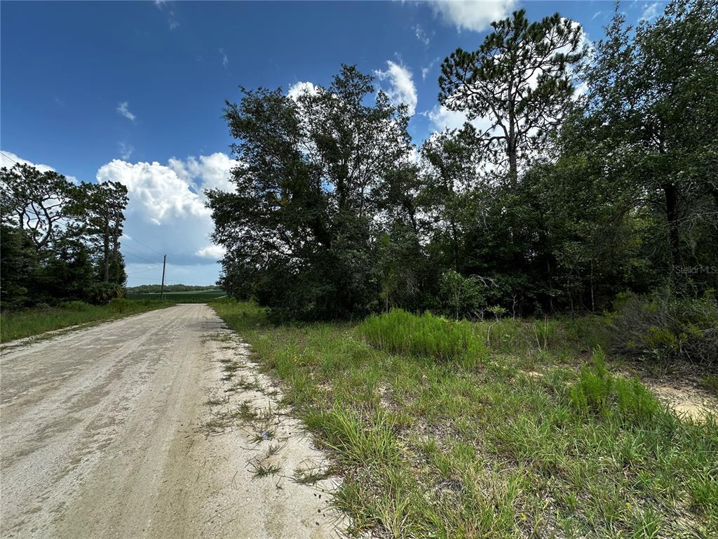 Property for sale at 12930 NE 15TH STREET, WILLISTON, FL, 32696