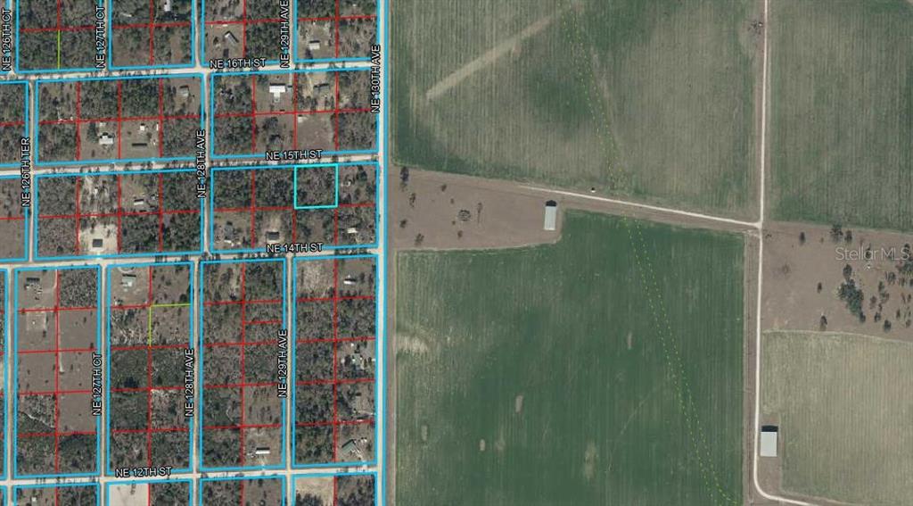 Property for sale at 12930 NE 15TH STREET, WILLISTON, FL, 32696
