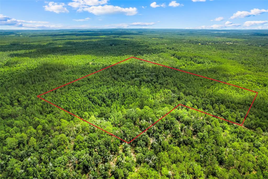 Property for sale at WATER ROAD, CLERMONT, FL, 34711