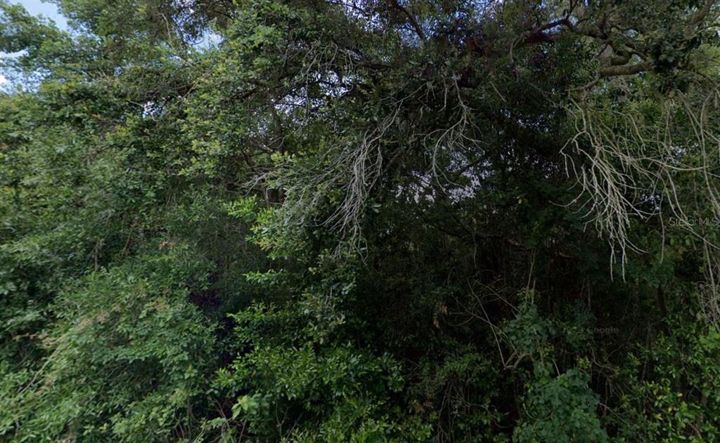 Property for sale at 3288/3302 E ALISA LANE, INVERNESS, FL, 34453