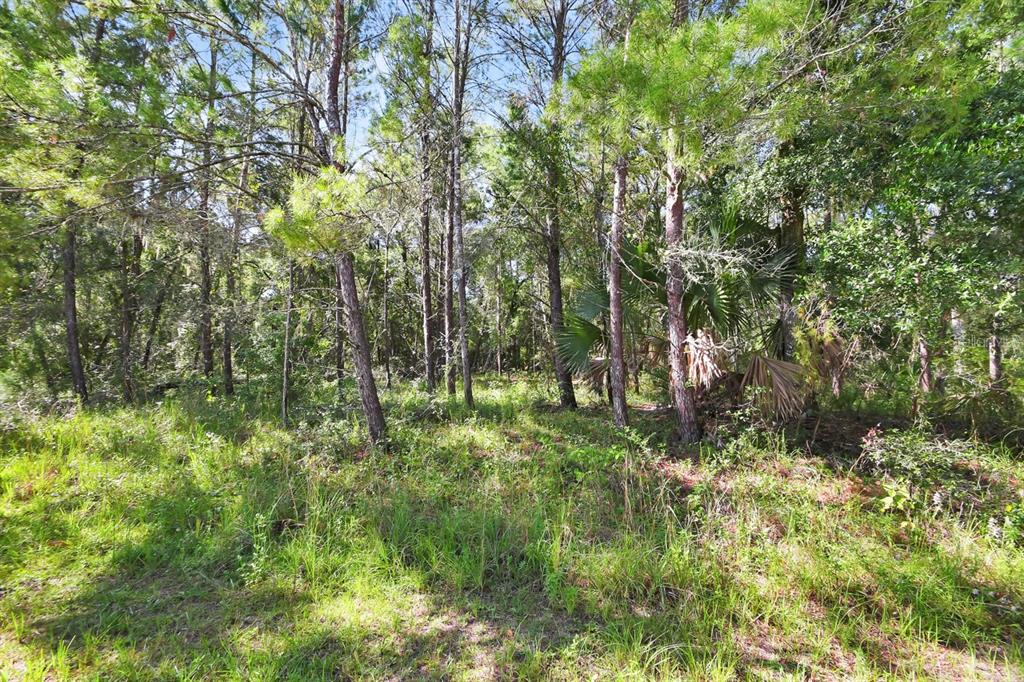 Property for sale at 1964 S FARM ROAD, DELAND, FL, 32720