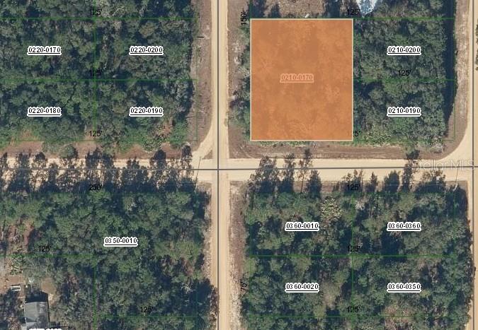 Property for sale at 00 NORMAN AVENUE, INTERLACHEN, FL, 32148