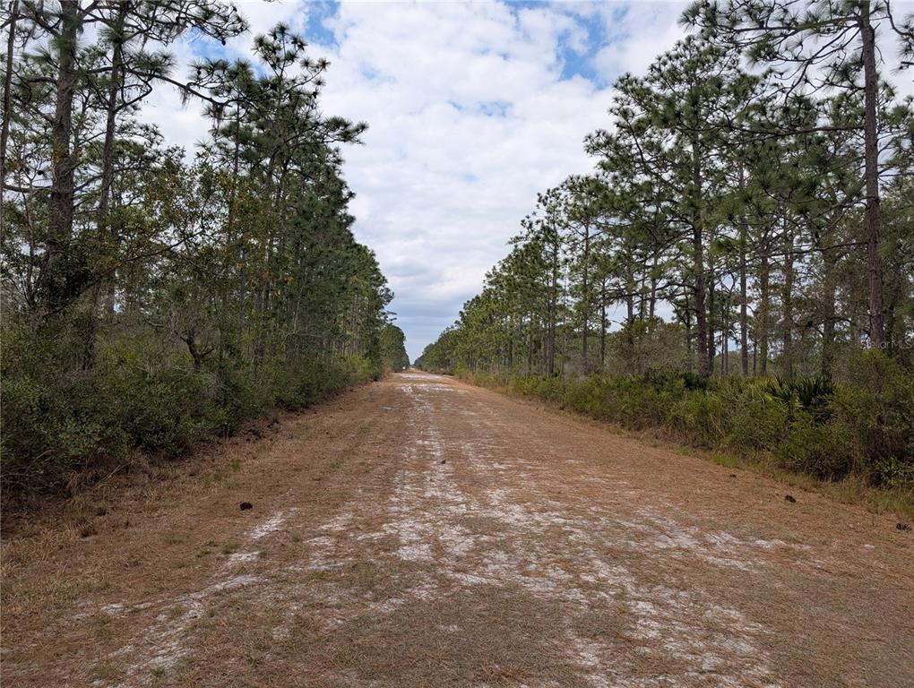 Property for sale at 416 BOUGAINVILLE DRIVE, INDIAN LAKE ESTATES, FL, 33855
