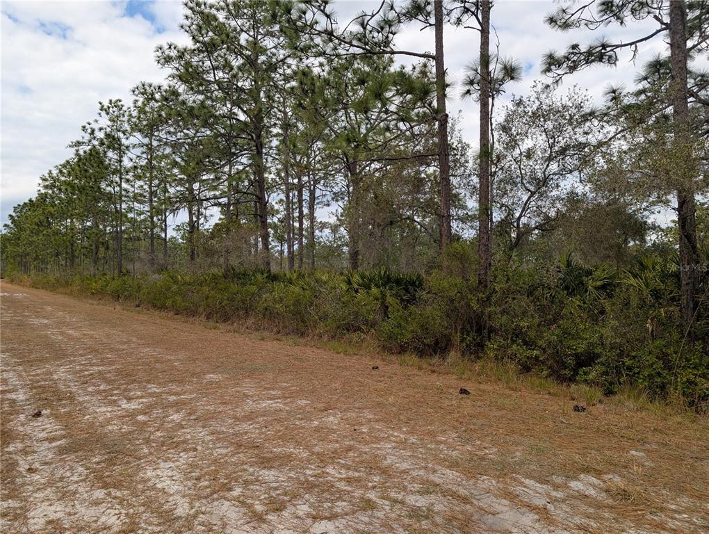 Property for sale at 416 BOUGAINVILLE DRIVE, INDIAN LAKE ESTATES, FL, 33855