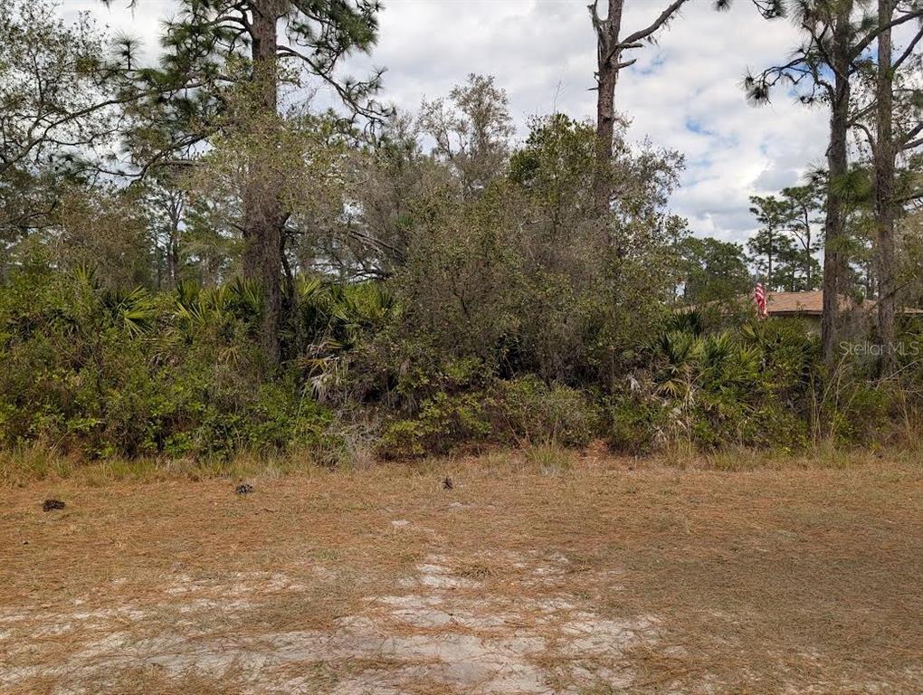 Property for sale at 416 BOUGAINVILLE DRIVE, INDIAN LAKE ESTATES, FL, 33855