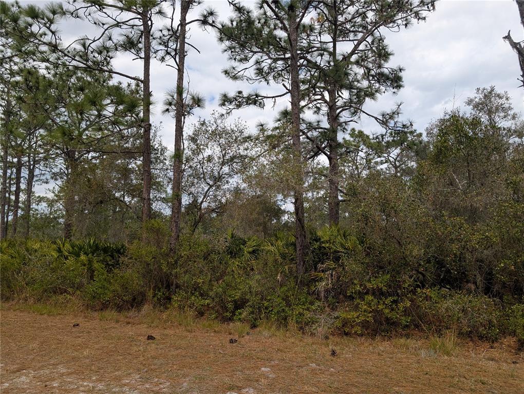 Property for sale at 416 BOUGAINVILLE DRIVE, INDIAN LAKE ESTATES, FL, 33855