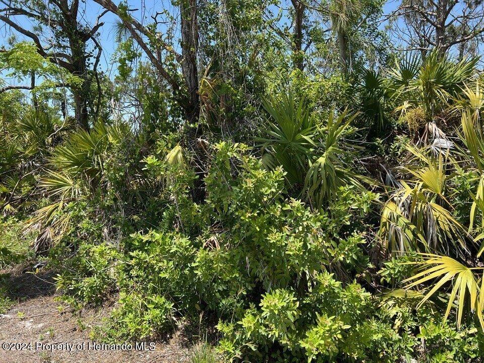 Property for sale at 3714 MYERS LANE, ST JAMES CITY, FL, 33956