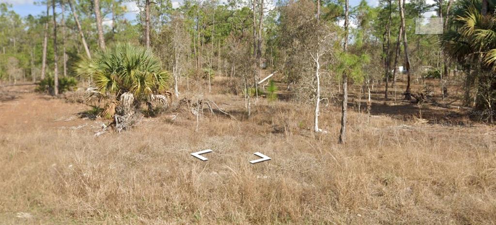 Property for sale at 1306 MICHAEL AVENUE, LEHIGH ACRES, FL, 33972
