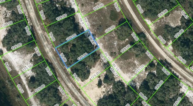 Property for sale at 313 RHYTHM DRIVE, LAKE PLACID, FL, 33852