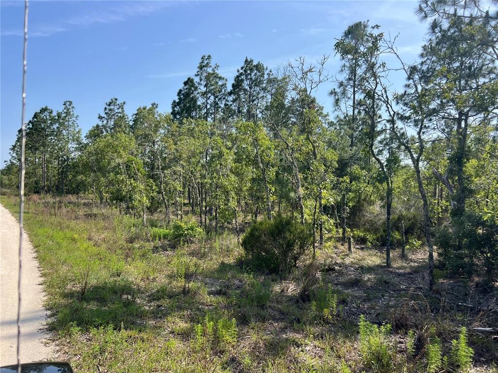 Property for sale at NE 151ST AVENUE, WILLISTON, FL, 32696
