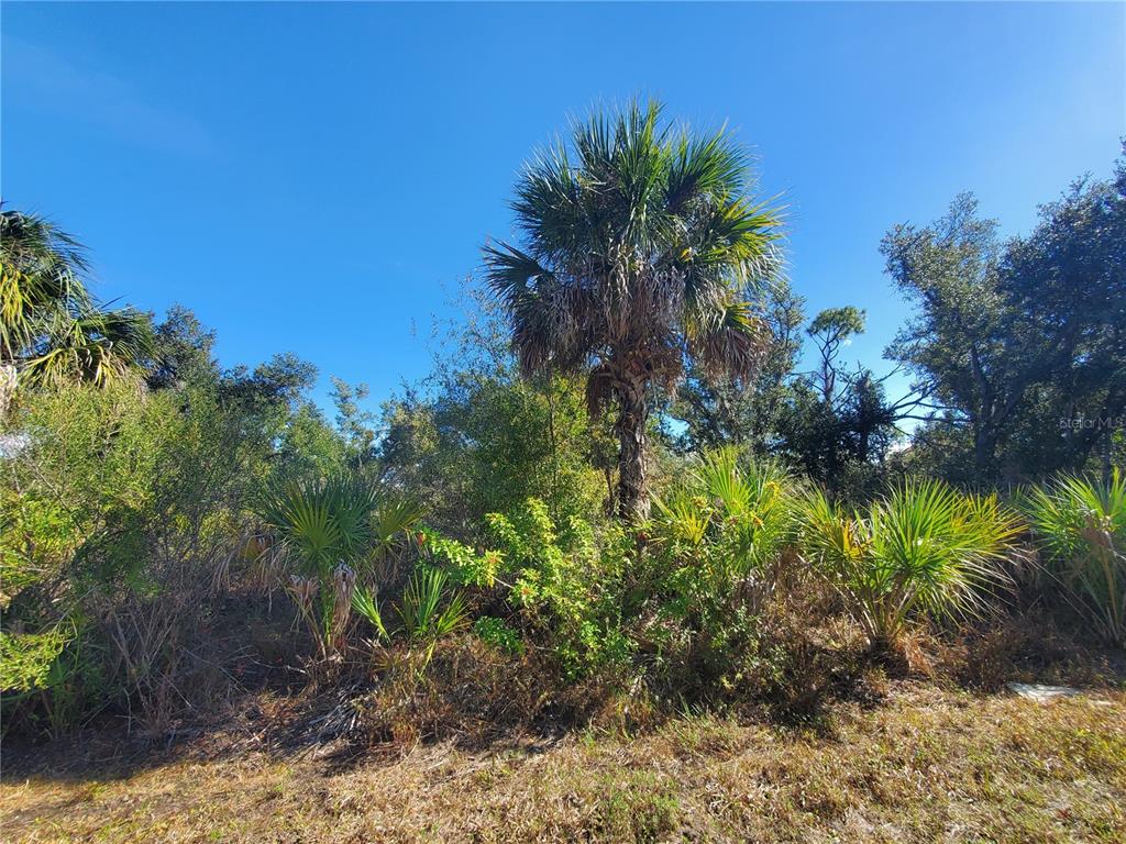 Property for sale at 1520 CAPEL STREET, PORT CHARLOTTE, FL, 33953