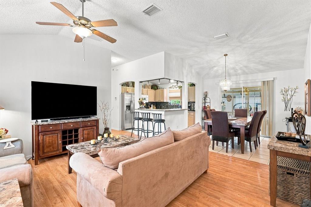 Living/Dining/Kitchen Open Concept