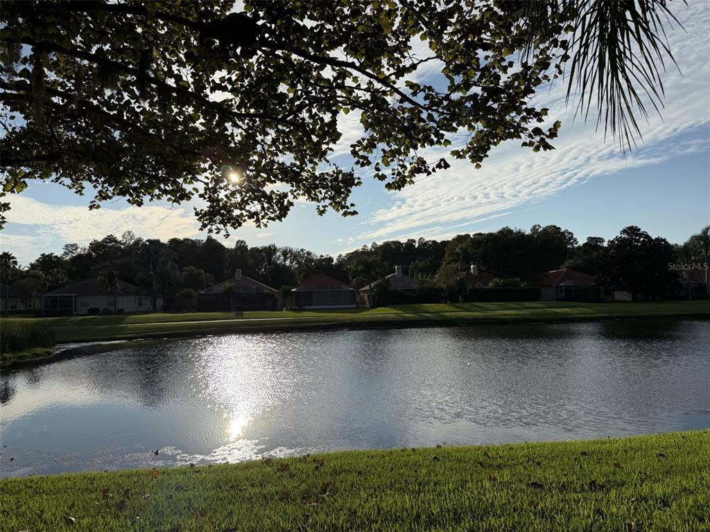 Lake view from the lanai