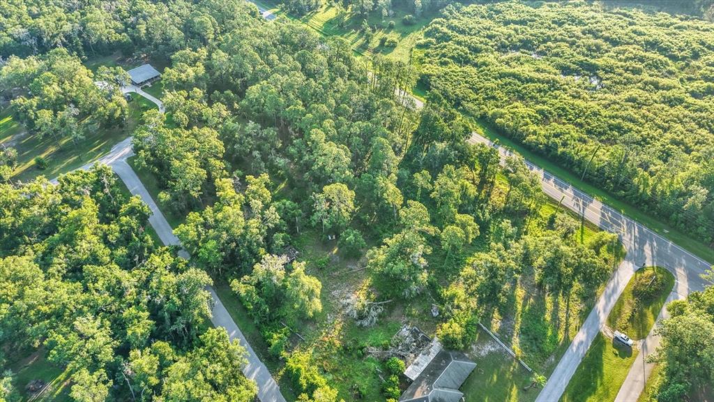 Property for sale at 0 TREIMAN BOULEVARD, WEBSTER, FL, 33597
