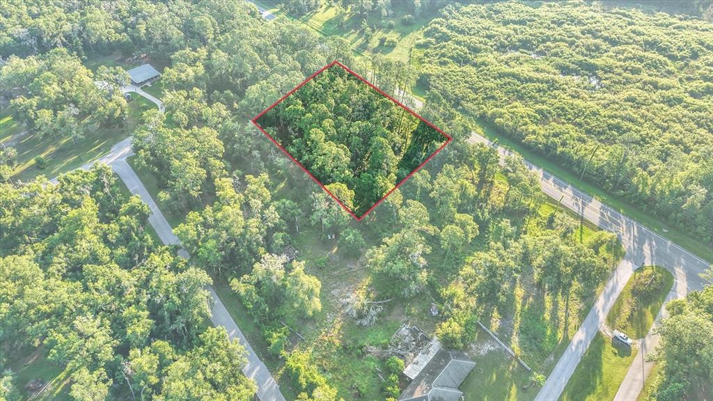 Property for sale at 0 TREIMAN BOULEVARD, WEBSTER, FL, 33597