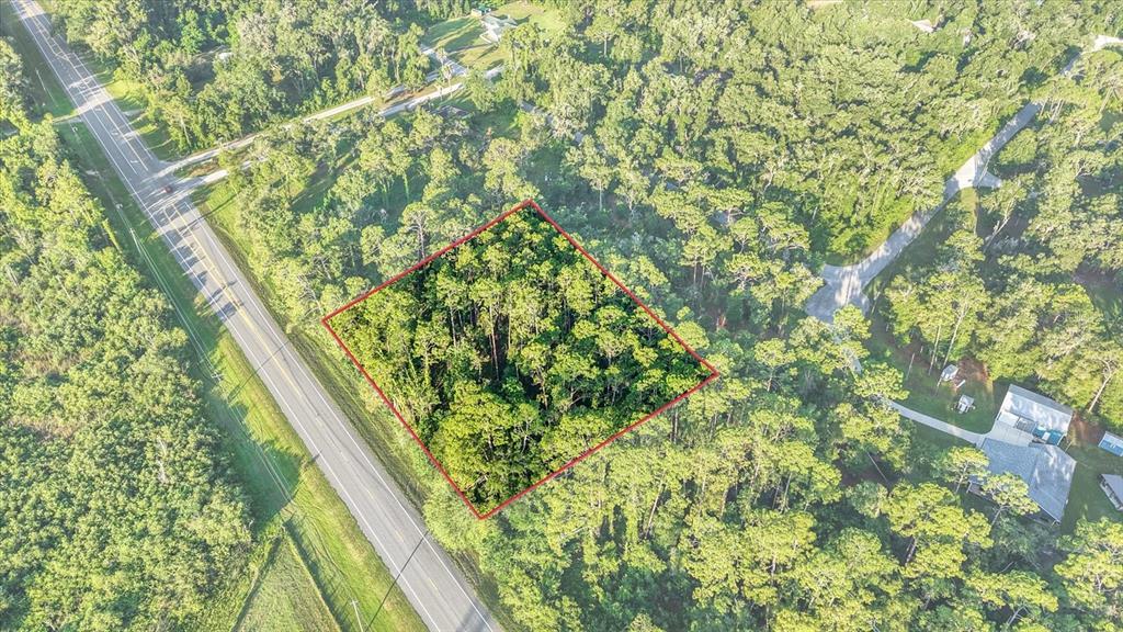 Property for sale at 0 TREIMAN BOULEVARD, WEBSTER, FL, 33597