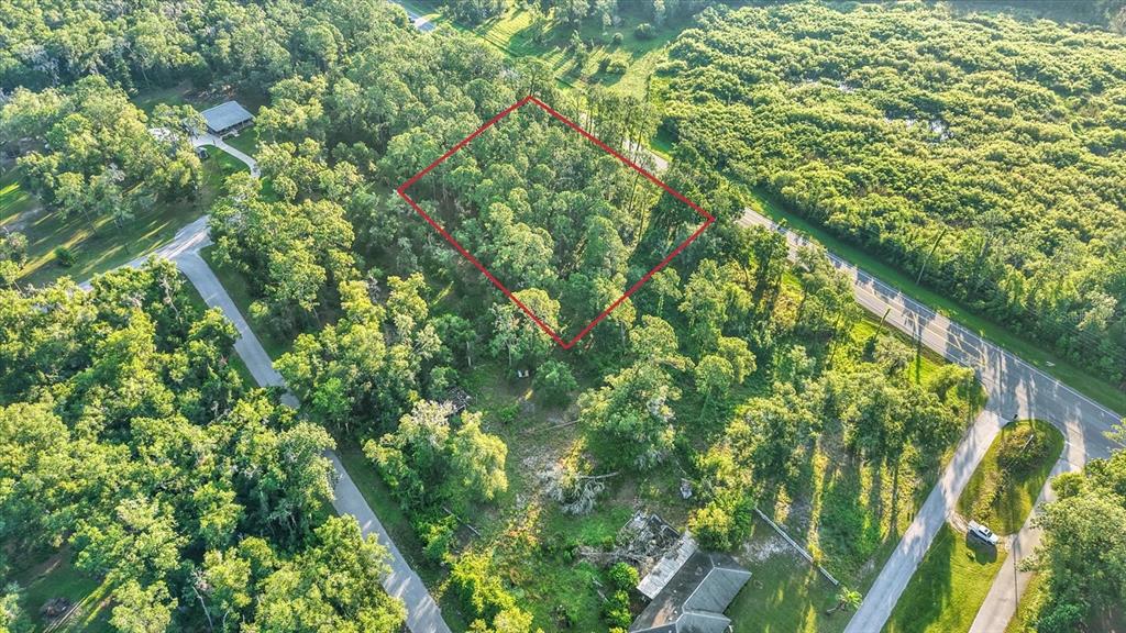 Property for sale at 0 TREIMAN BOULEVARD, WEBSTER, FL, 33597